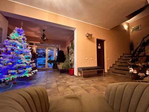波亚纳布拉索夫Top Mountain的客厅里一棵圣诞树,上面有蓝色的圣诞花