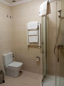 桑坦德麦哲伦酒店的一间带卫生间和淋浴的浴室