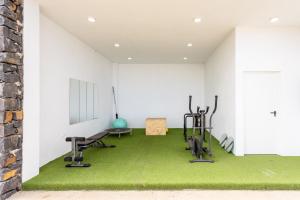 拉奥罗塔瓦Home2Book Stunning Loft Seaviews Finca La Golosa的一间健身房,铺有绿色地毯,配有健身器材