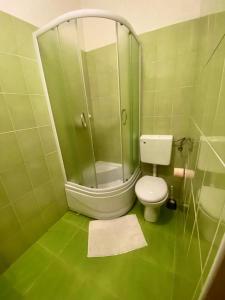 普拉疯狂之家旅舍的绿色浴室设有卫生间和玻璃淋浴间