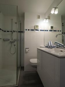 韦斯特兰Appartement Strandnah的浴室配有卫生间、盥洗盆和淋浴。