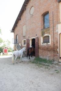Monte San Pietro伊索拉尼蒙特维池农家乐的两匹马站在砖房外面