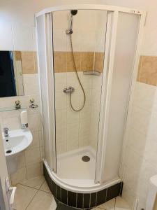 日利纳斯洛文酒店的带淋浴和盥洗盆的浴室