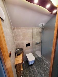 MirnaVineyard Cottage Sončni grič的一间带卫生间和淋浴的小浴室