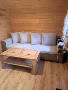 科尔别卢夫Willa Podgórska的一张沙发,位于一个配有茶几的房间