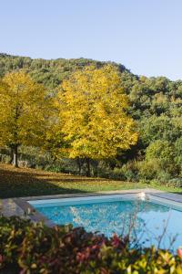 奥维多罗坎达帕拉棕酒店的一座树木繁茂的山丘前的游泳池