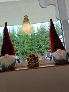 WeremieńLeśne Zacisze的坐在窗边的两根格诺姆,看着圣诞树