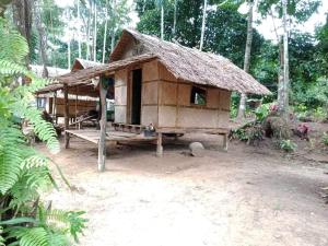 Ban Bok Faiสวนบุศรา ลานกางเต็นท์วิถีเกษตร的一间有草屋顶的小小屋