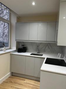 BuckinghamshireDralda House的厨房配有白色橱柜、水槽和窗户。