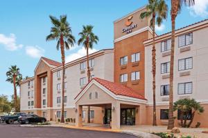 钱德勒Comfort Inn Chandler - Phoenix South I-10的棕榈树酒店 ⁇ 染