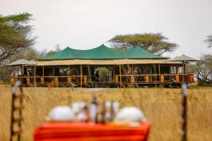塞伦盖蒂Ndoto Serengeti Camp的绿色帐篷,在田野里设有桌子