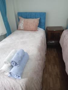 伊斯坦布尔Hisar Apartments的一间卧室配有带毛巾的床