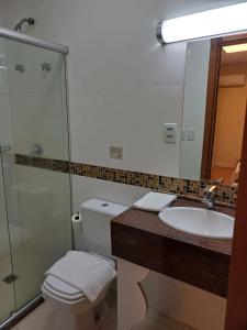 阿雷格里港马特兹广场酒店的浴室配有卫生间、盥洗盆和淋浴。