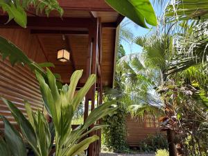 伊瓜苏港Terra Lodge的前面有植物的木屋