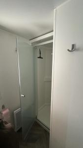 滨海苏拉克Mobil-home 177的带淋浴的浴室和玻璃门