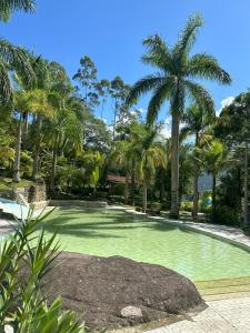 萨纳Pousada J Country的一座拥有绿色水源和棕榈树的游泳池