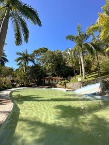 萨纳Pousada J Country的棕榈树环绕的绿色水池