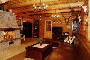 Luxury Chalet at Podlipje Estate的一个带壁炉和电视的大客厅