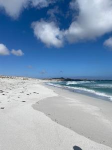 蓬塔乔罗斯Punta de Choros Lodge的沙滩,沙滩上有沙滩和海洋的足迹