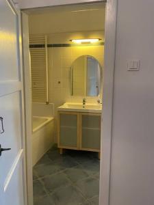 格拉茨Geräumige Altbauwohnung im Zentrum的浴室配有盥洗盆、镜子和浴缸