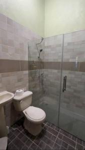 哈拉瓦科阿Villa en manabao, Jarabacoa.的浴室配有卫生间、淋浴和盥洗盆。