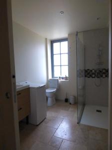 GizeuxLe Petit Pré, Gîte chez l'habitant的浴室配有卫生间、盥洗盆和淋浴。