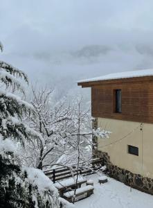 博尔若米Likani-house's Cottage的树枝上积雪的建筑物