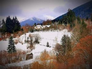 莫伊塞Alpina Panoramic的雪覆盖的田地中间的房子