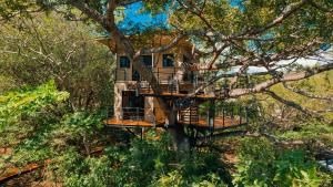 南圣胡安TreeCasa Hotel & Resort Nicaragua的树屋