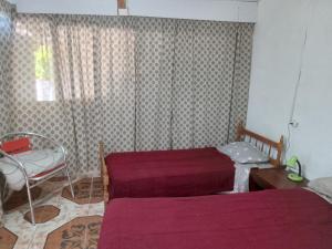 皮里亚波利斯LAPOSTa555的一间卧室设有两张床、一张桌子和一个窗口