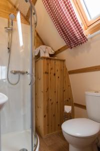 雅茅斯Eco Pod 1 At Tapnell Farm的一间带卫生间和淋浴的浴室