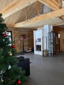 Pirts Muzejs的客厅配有圣诞树和壁炉