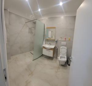 爱尔巴桑VILA BAKRI kati 2的浴室配有卫生间、盥洗盆和淋浴。