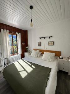 莱德萨阿尔卑斯本艾克尔酒店的一间卧室设有一张大床和一个窗户。