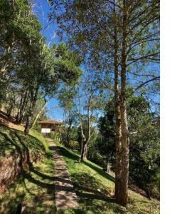 圣弗朗西斯科泽维尔Alto de Santa Barbara的林地和房子中的一条小径