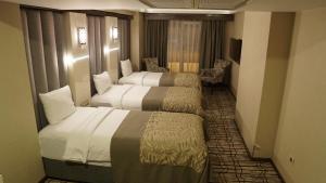 伯萨绿色布鲁萨酒店的酒店客房设有两张床和电视。