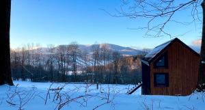 耶塞尼克Challet44的雪覆盖的田野中的小木屋