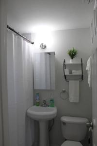 杰克逊维尔☆The Oasis in Murray Hill☆ -sleeps 8- WiFi- Cozy的白色的浴室设有卫生间和水槽。