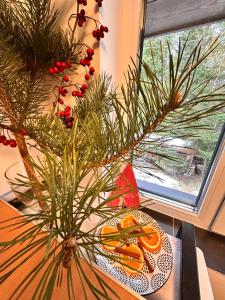 穆恩特勒白索利Cabana Ruku的桌子上装有圣诞树的花瓶