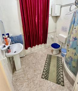 突尼斯Un studio au centre ville de Tunis的一间带红色淋浴帘和卫生间的浴室