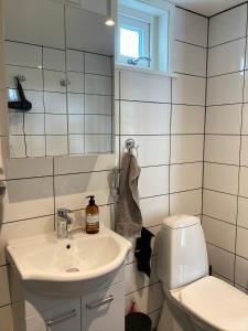 VästerhaningeFullt utrustat Minihus på landet的白色的浴室设有水槽和卫生间。