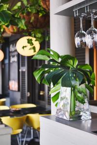 开普敦Hotel on the Promenade的花瓶里的植物坐在柜台上