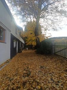宇格维斯Markowy Dom的房子旁边的地上堆积着的树叶