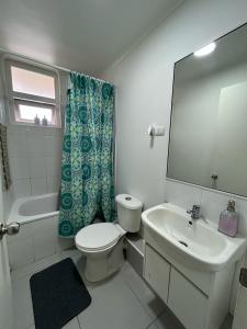 奥索尔诺Departamento nuevo con perfecta ubicación的一间带卫生间、水槽和镜子的浴室
