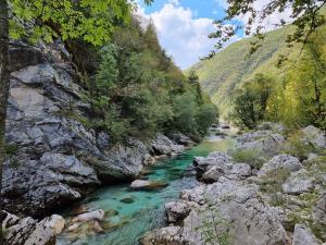 莫斯特拉纳Comfy mountain nest的峡谷里一条有岩石和树木的河流