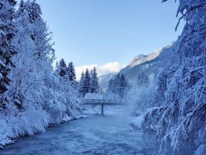 莫斯特拉纳Comfy mountain nest的一座有雪覆盖的树木的河上桥梁