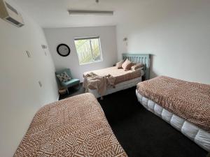 凯库拉Kaikoura Seaside lodge的一间卧室设有两张床和窗户。