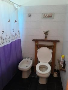 塞拉德洛斯帕德雷斯LA CALANDRIA的一间带卫生间和水槽的浴室