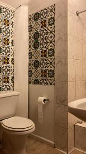 瓦尔迪维亚Cygnus Hostel的一间带卫生间和淋浴的浴室