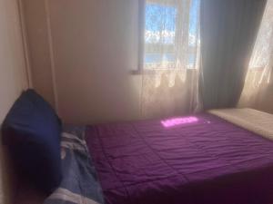 卡斯特鲁Hostal Sandrita的带窗户的客房内的紫色床